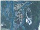 Russell Island QLD 4184