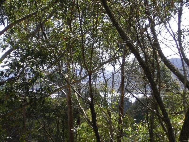 Russell Island QLD 4184