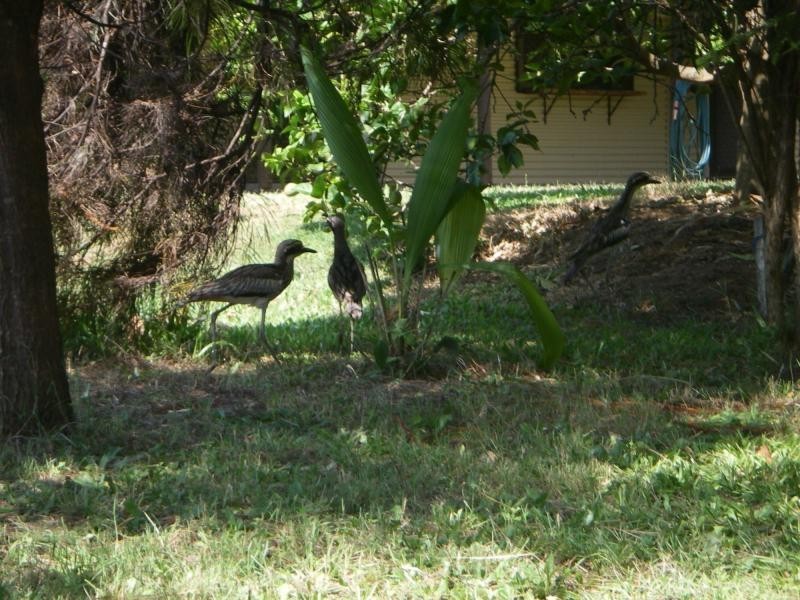 Russell Island QLD 4184