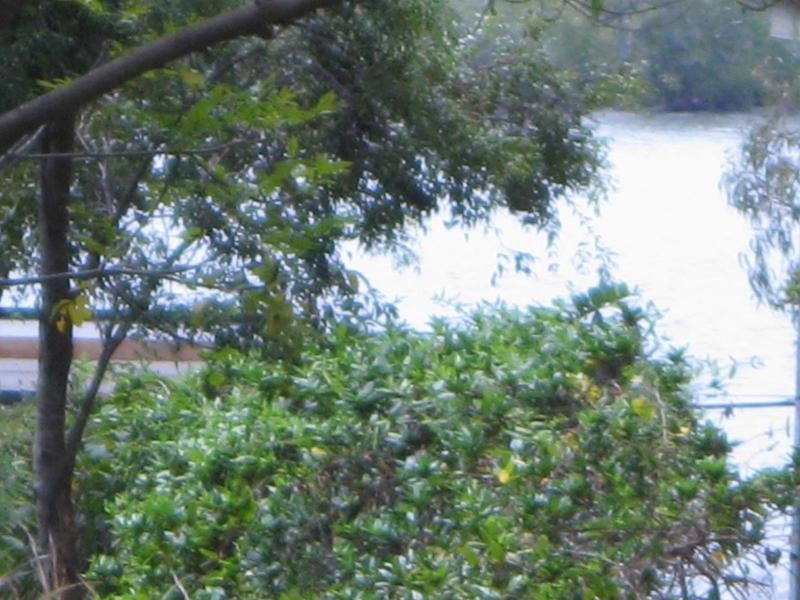 Russell Island QLD 4184