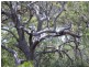 Russell Island QLD 4184