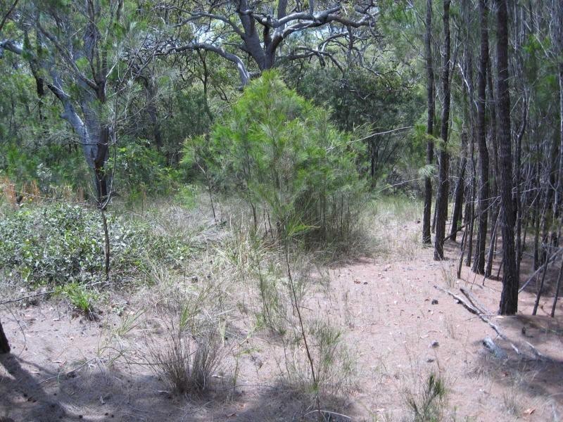 Russell Island QLD 4184