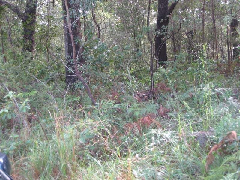 Russell Island QLD 4184