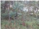 Russell Island QLD 4184