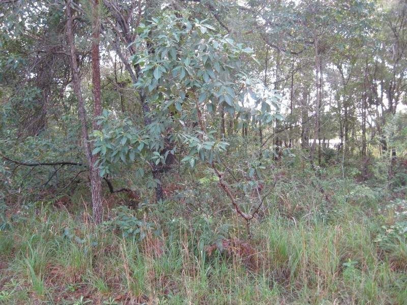 Russell Island QLD 4184