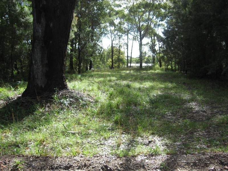 43 Harvey Street, Russell Island QLD 4184