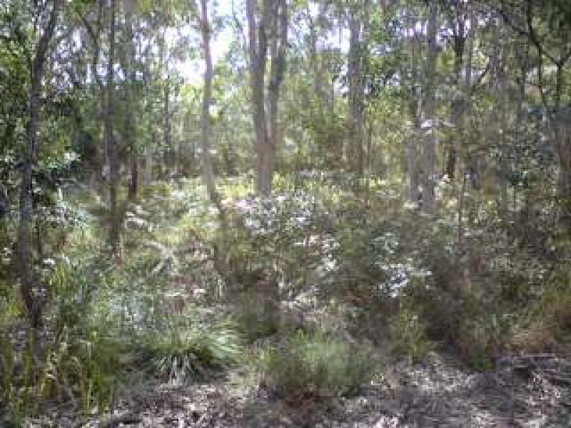Russell Island QLD 4184