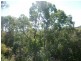 41 Patterson Street, Russell Island QLD 4184
