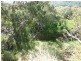 41 Patterson Street, Russell Island QLD 4184
