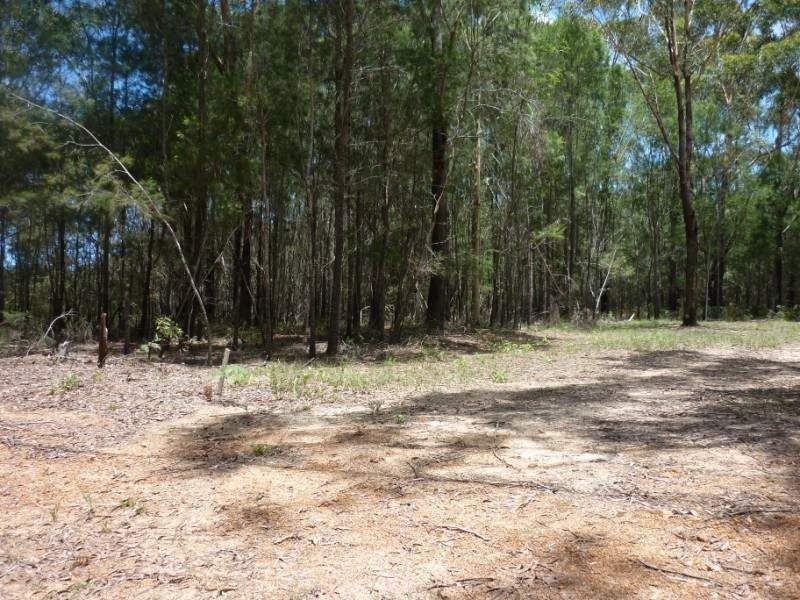 20 Little Cove Road, Russell Island QLD 4184