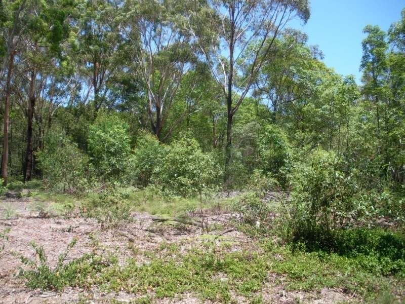 10 Basket Beach Road, Russell Island QLD 4184