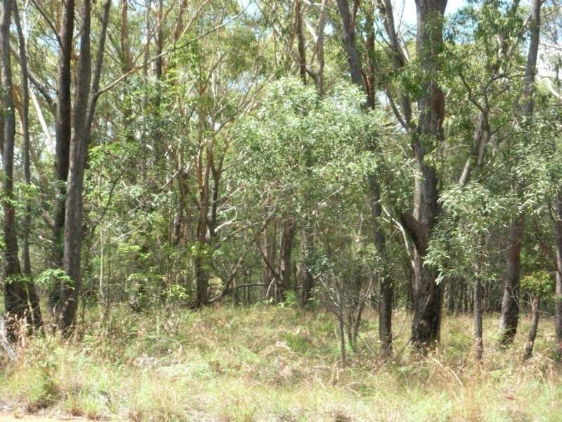 16 Kurrajong Road, Russell Island QLD 4184