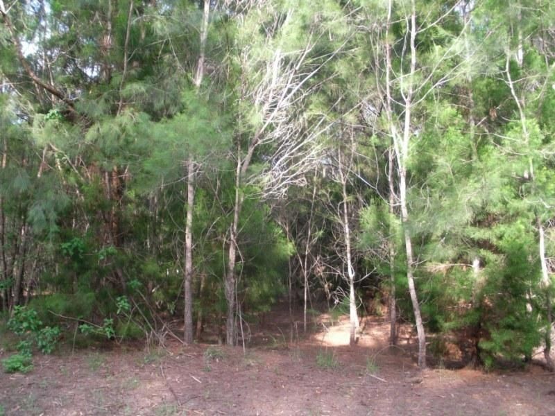 23 Catamaran Street, Russell Island QLD 4184