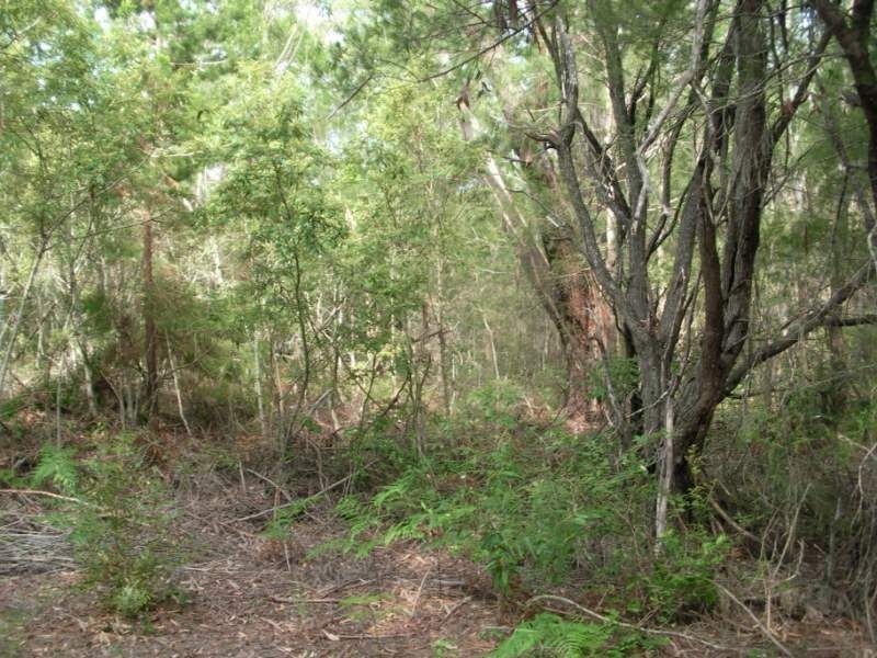 Russell Island QLD 4184