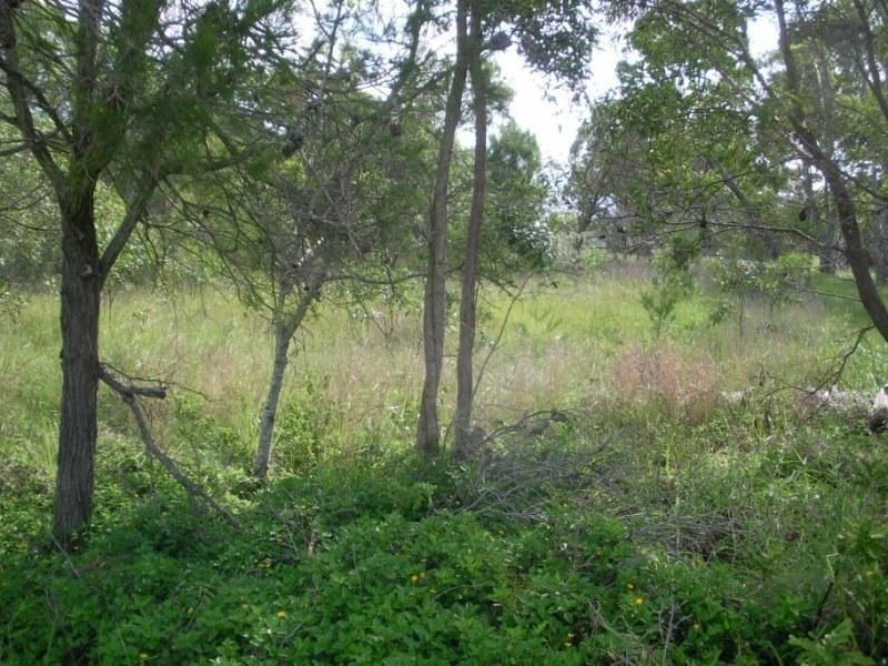 Russell Island QLD 4184