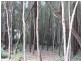 Russell Island QLD 4184