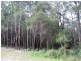 Russell Island QLD 4184