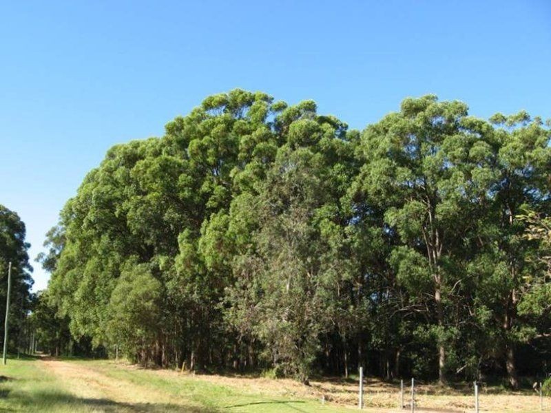 Russell Island QLD 4184