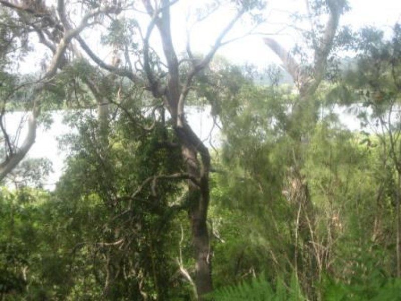 9 Bay Drive, Russell Island QLD 4184