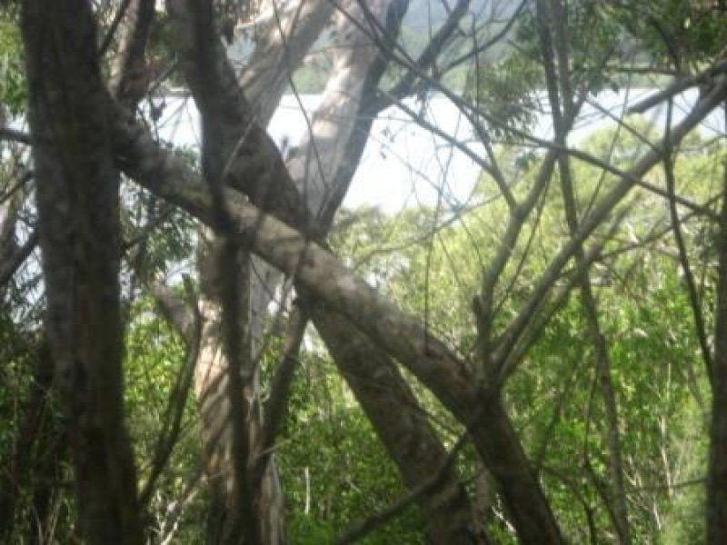 9 Bay Drive, Russell Island QLD 4184