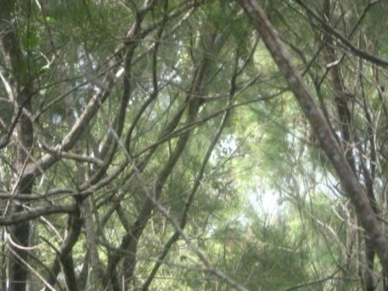 9 Bay Drive, Russell Island QLD 4184