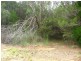 55 Fern Terrace, Russell Island QLD 4184