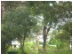 55 Fern Terrace, Russell Island QLD 4184