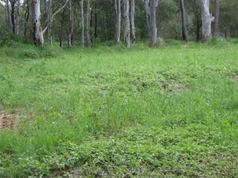 Russell Island QLD 4184