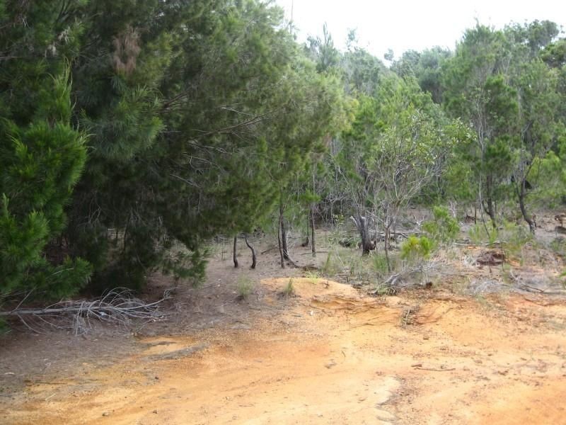 Russell Island QLD 4184