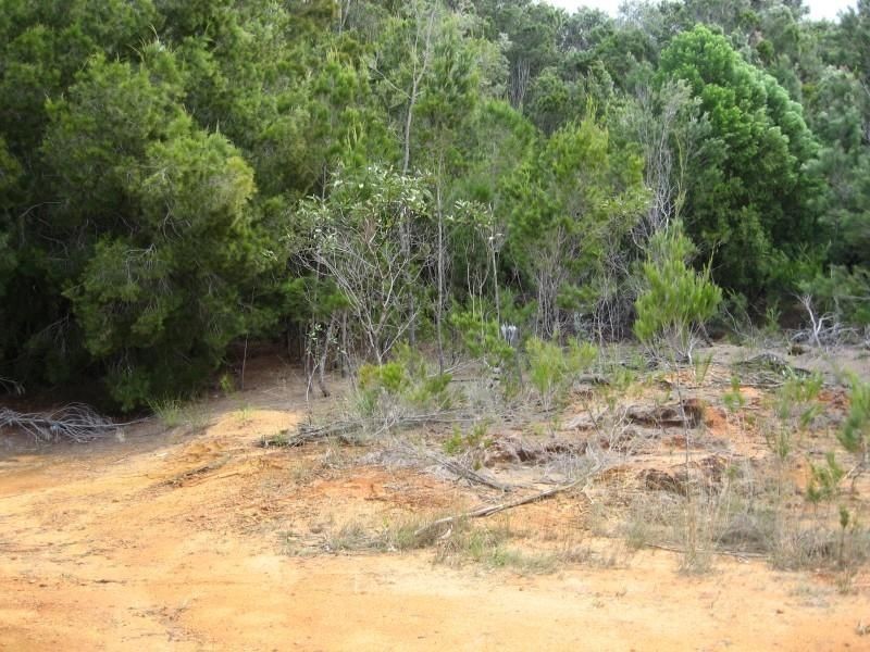 Russell Island QLD 4184