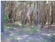 Russell Island QLD 4184