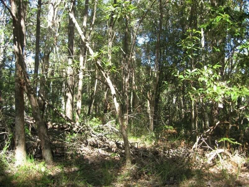 Russell Island QLD 4184