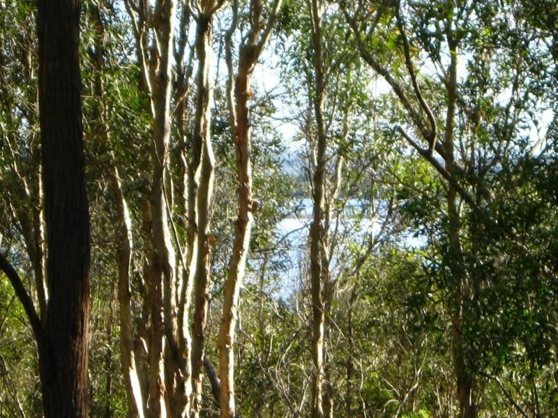 Russell Island QLD 4184