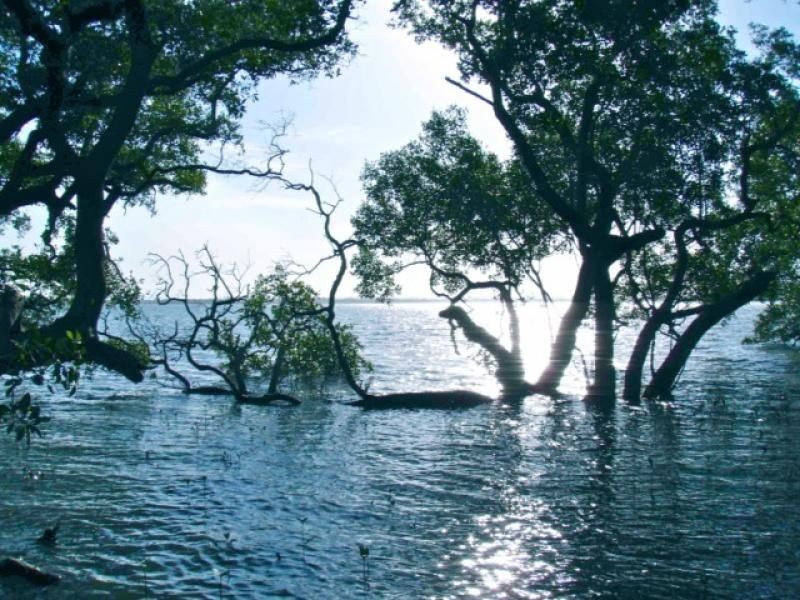 Russell Island QLD 4184