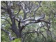 Russell Island QLD 4184