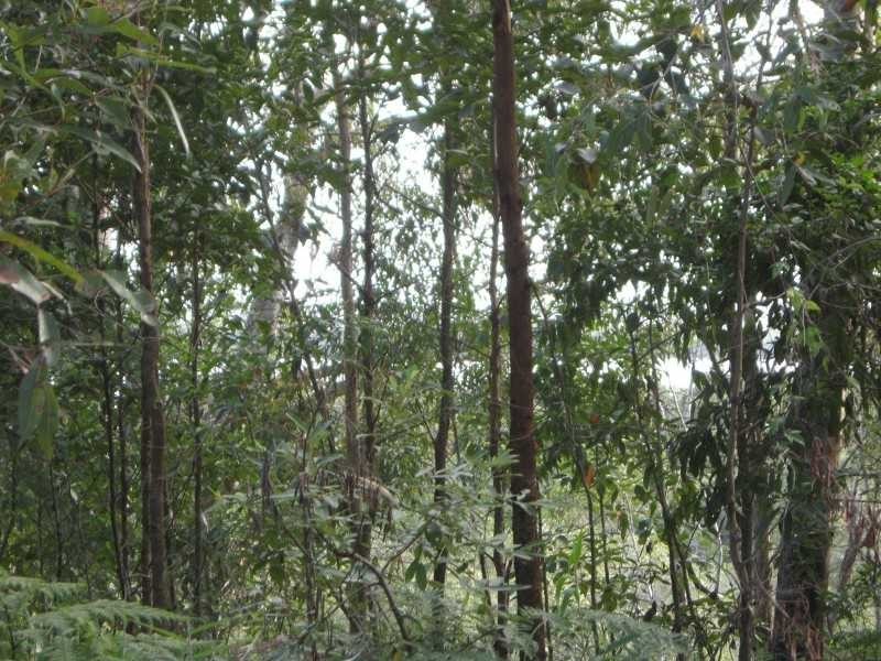 Russell Island QLD 4184