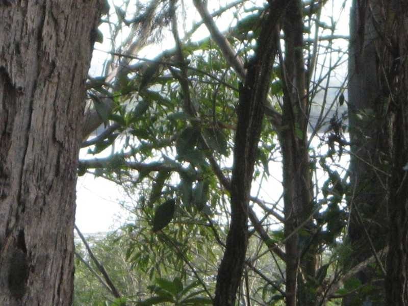 Russell Island QLD 4184