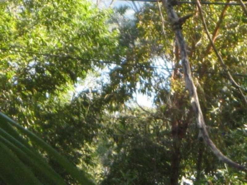 Russell Island QLD 4184