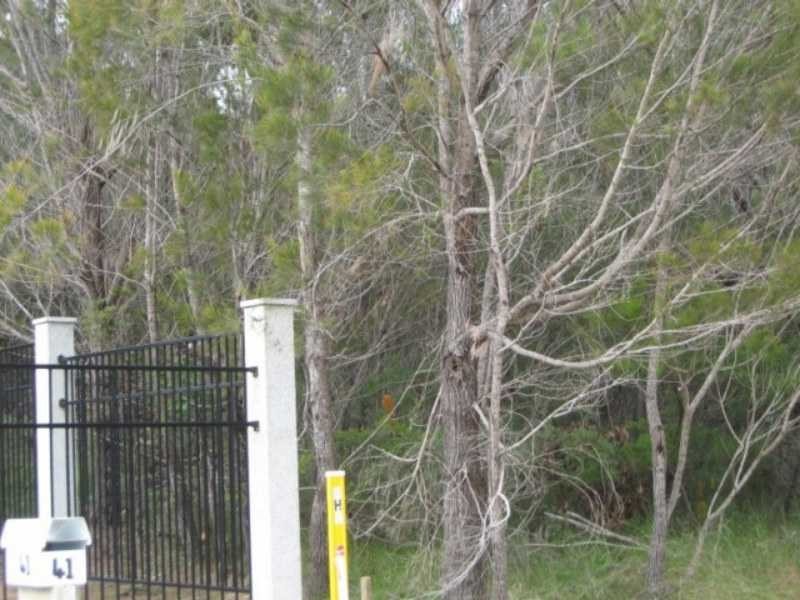 39 Tenanne Street, Russell Island QLD 4184