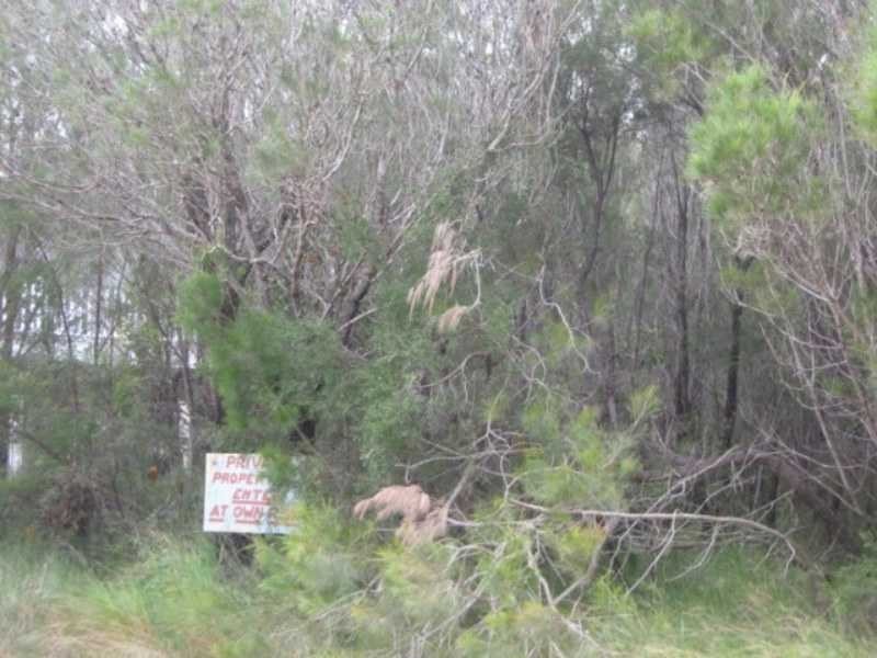 39 Tenanne Street, Russell Island QLD 4184