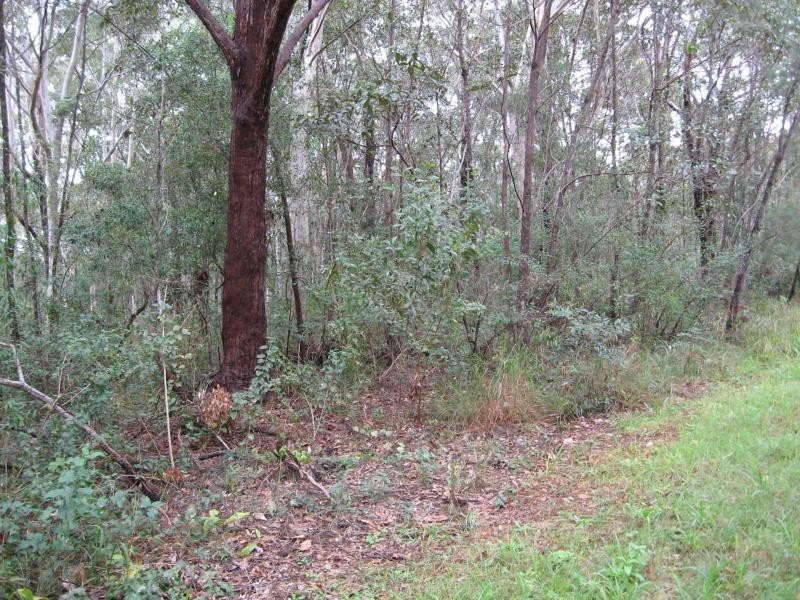 Russell Island QLD 4184