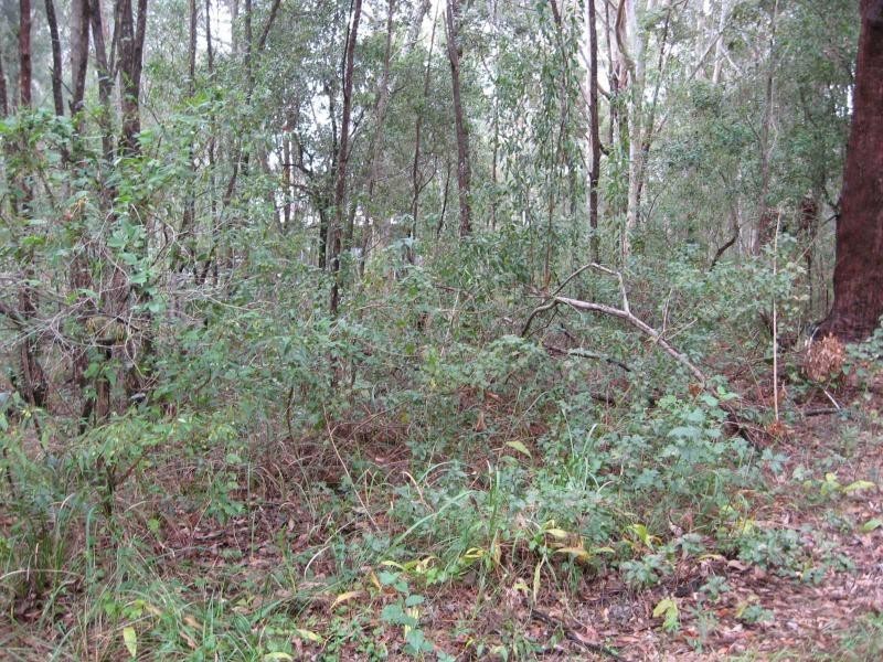 Russell Island QLD 4184