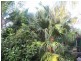 Russell Island QLD 4184