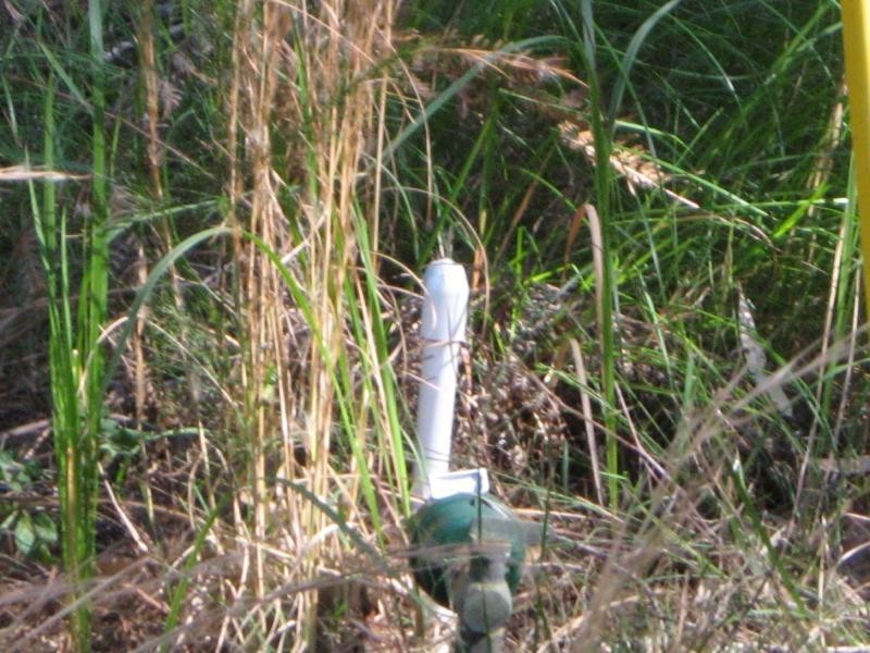 Russell Island QLD 4184