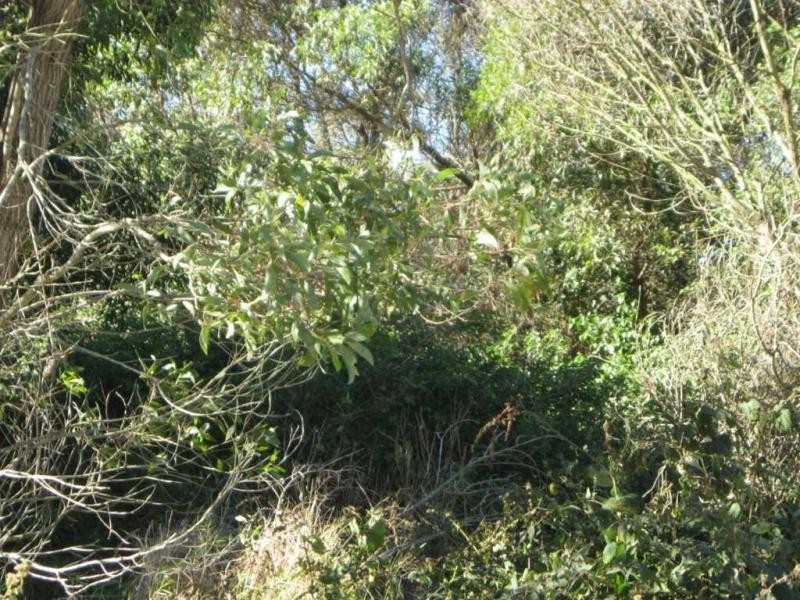 Russell Island QLD 4184