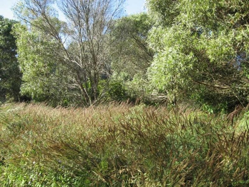 Russell Island QLD 4184