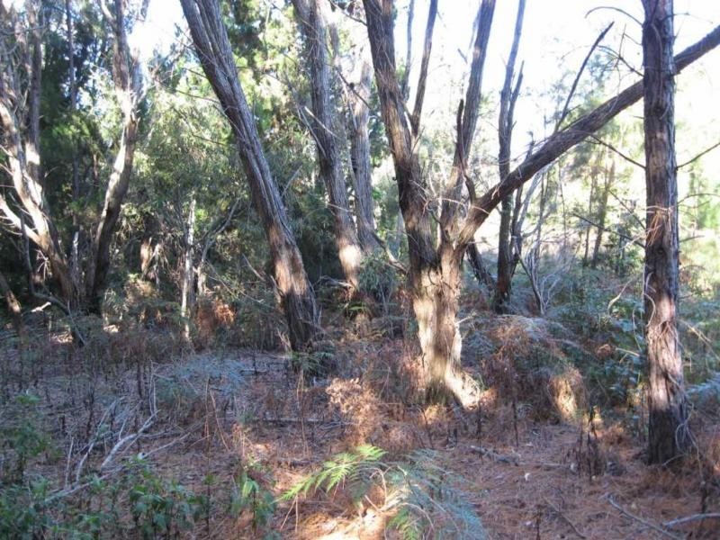 Russell Island QLD 4184