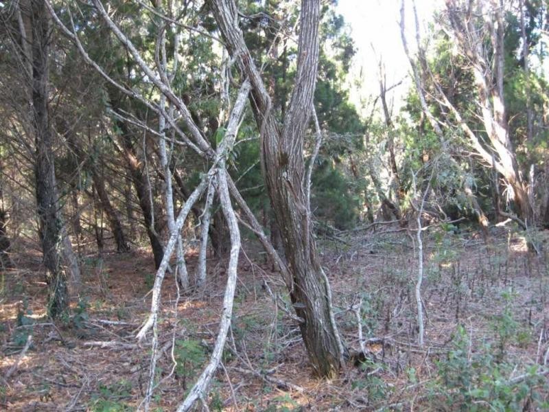 Russell Island QLD 4184