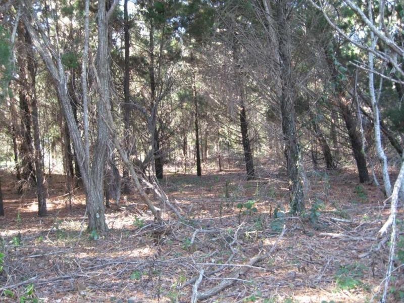 Russell Island QLD 4184