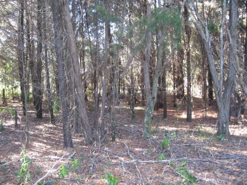 Russell Island QLD 4184